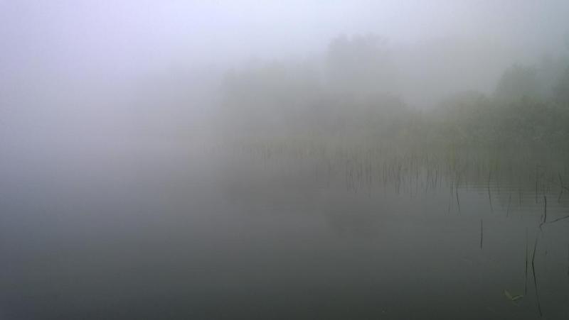 WP_20150531_004.jpg
