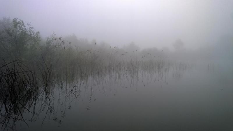 WP_20150531_003.jpg