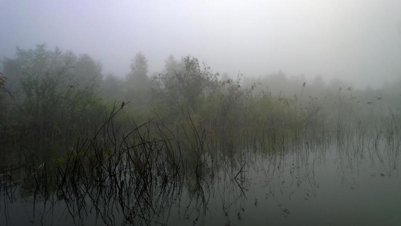 WP_20150531_002.jpg
