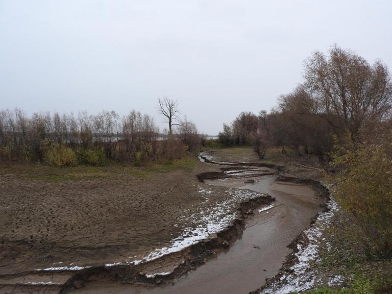 DSCN3909.JPG