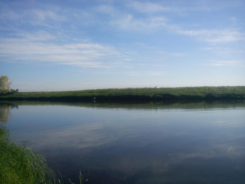 DSC00003.JPG