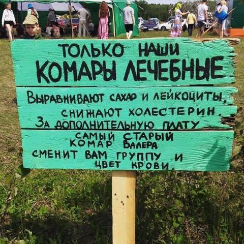 комары-3223879.jpeg