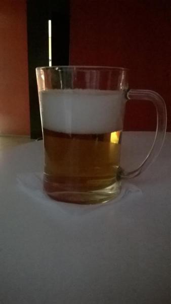 WP_20160310_001.jpg