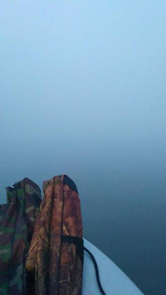 IMG_20170802_052237.jpg