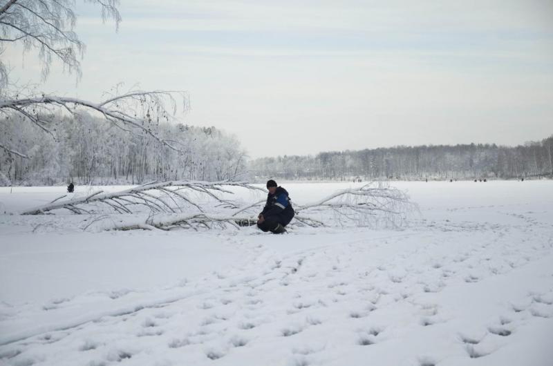 DSC_3924.jpg