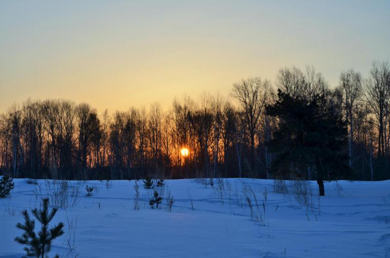 DSC_0853.JPG