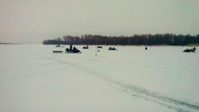 20170103105508 (2).jpg