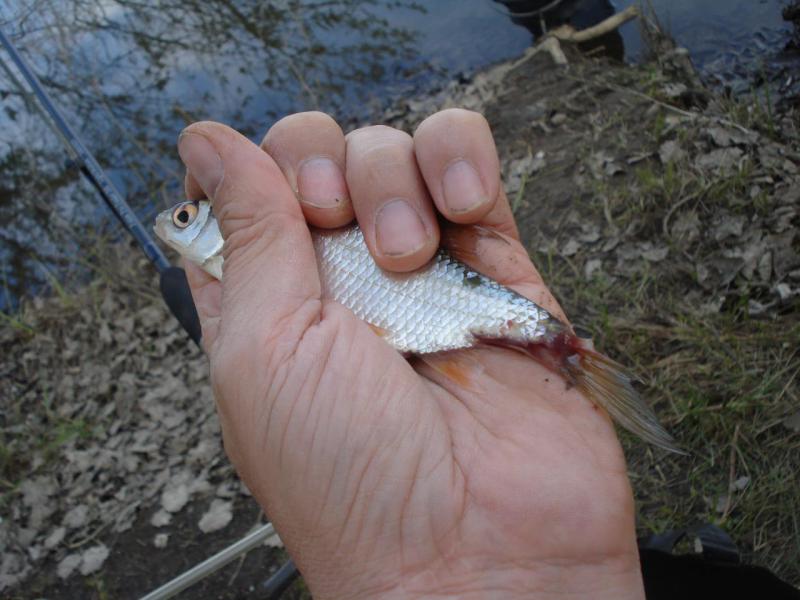 DSC02879.JPG
