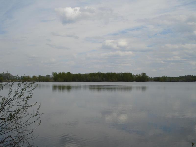 DSC02874.JPG