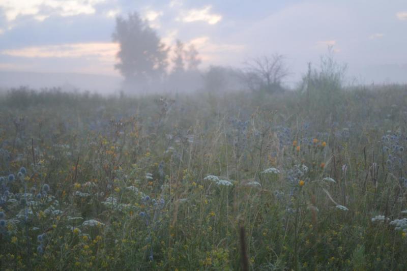 DSC_0148.JPG