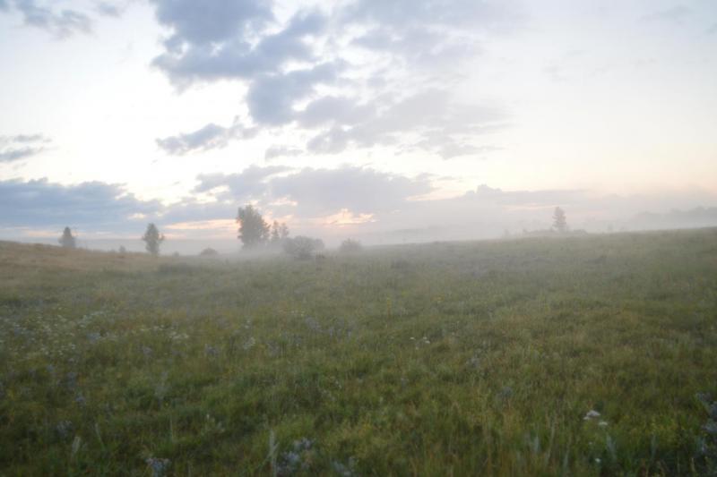 DSC_0141.JPG