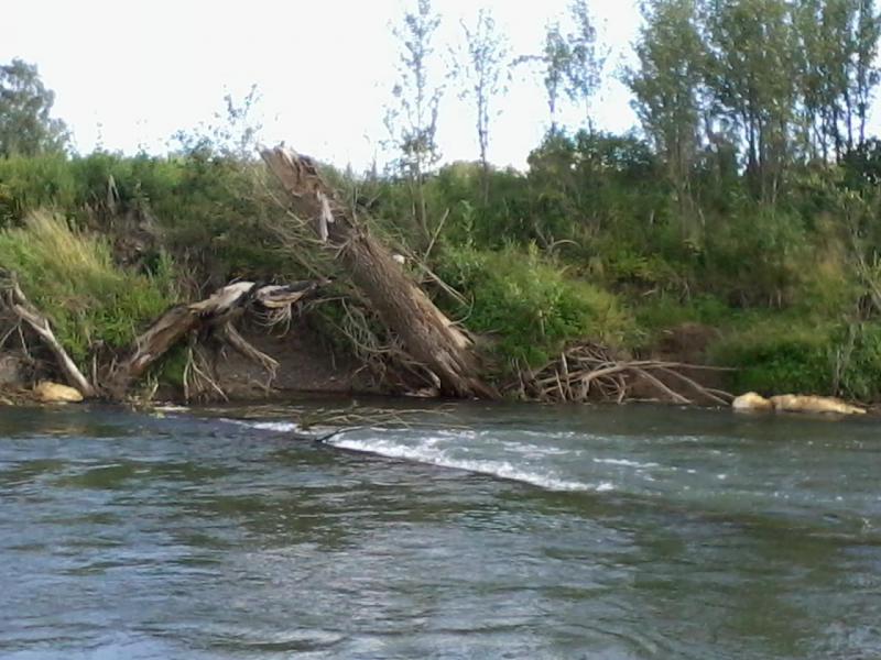 2015-08-09 15.44.28.jpg