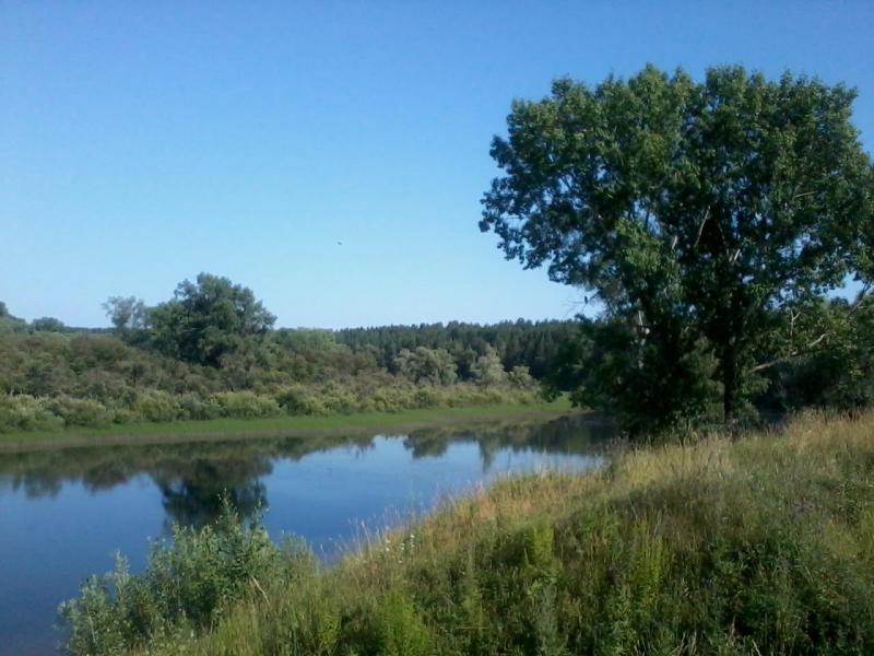 2015-07-18 16.31.04.jpg