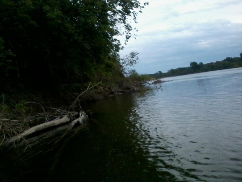 2015-08-09 09.40.34.jpg