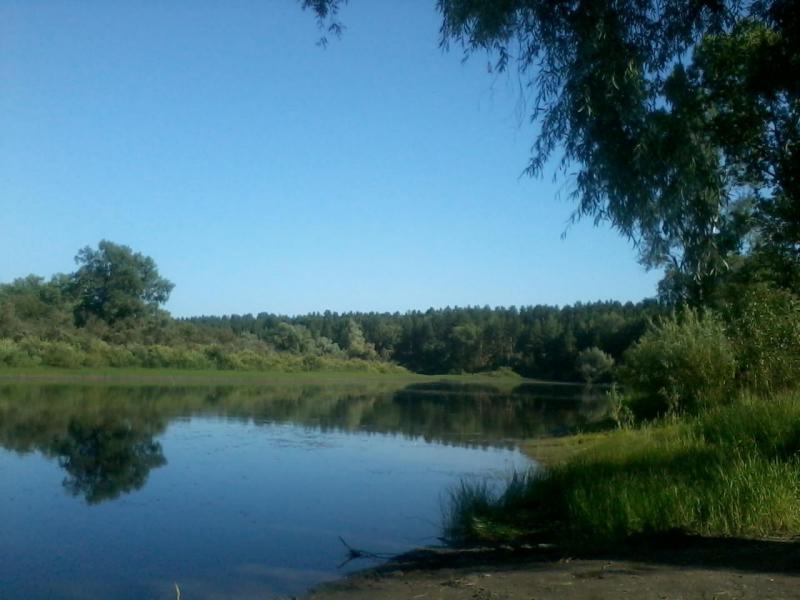 2015-07-18 16.43.26.jpg