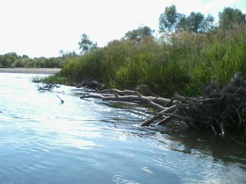 2015-08-09 15.44.32.jpg