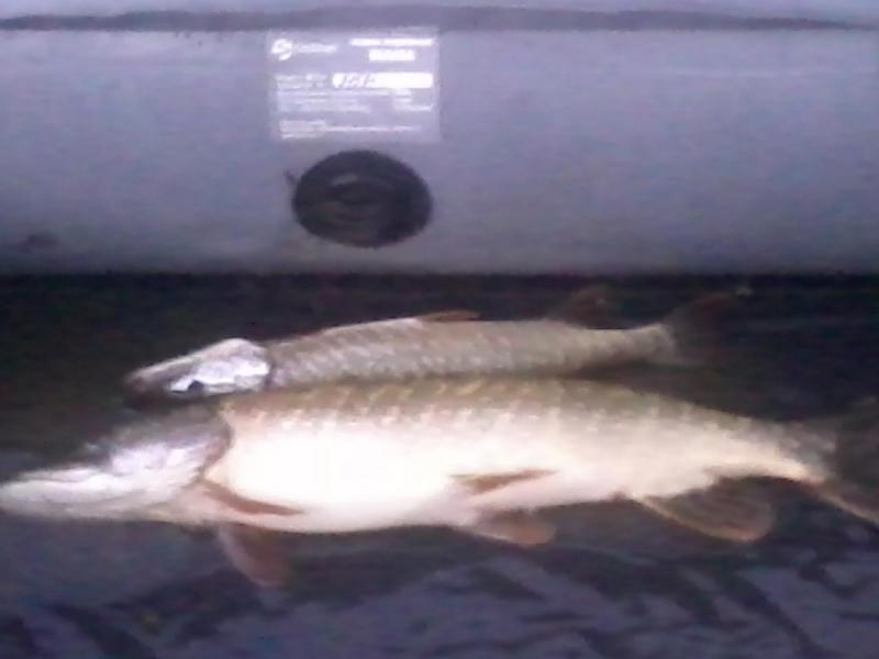 2015-07-18 20.42.45.jpg