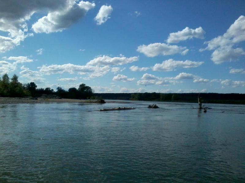 2015-08-09 15.41.48.jpg