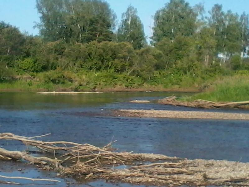 2015-07-18 17.48.17.jpg