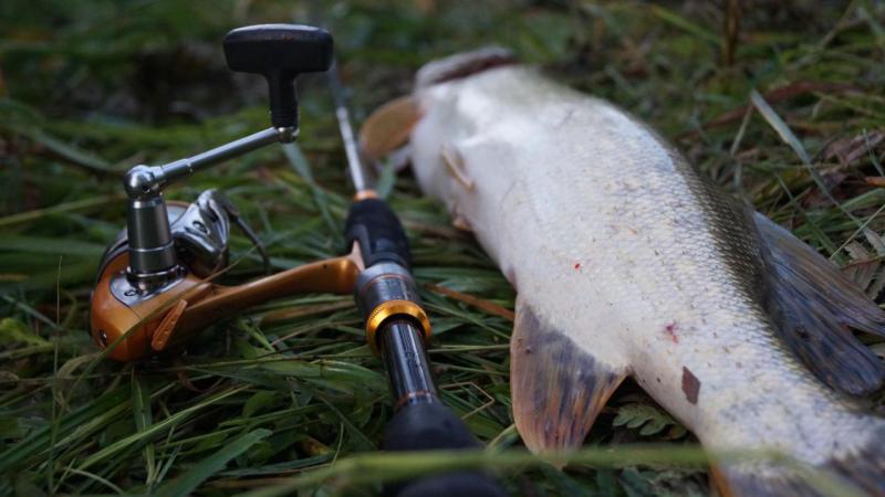 2015-07-15 14-20-34.JPG