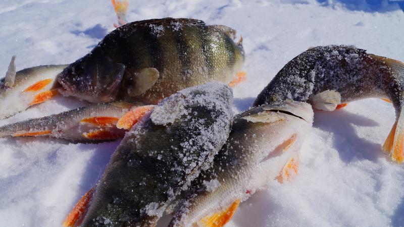 DSC06877 копия.jpg