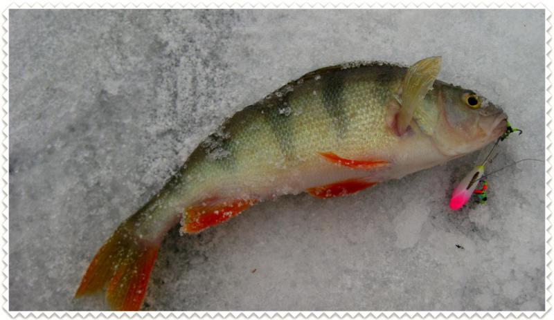 2015-11-26 10-07-32.jpg