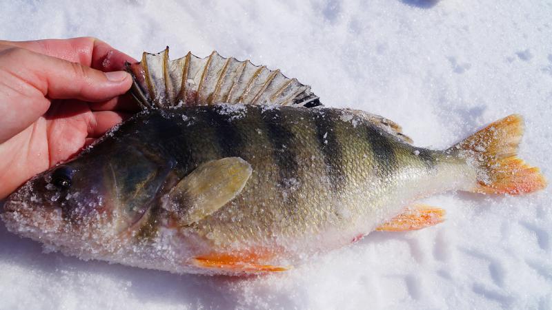 DSC06876 копия.jpg