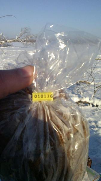 IMG-20160102-WA00301.jpg