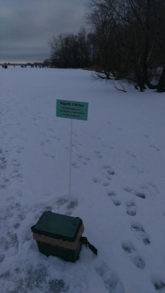 IMG-20160130-WA0009.jpeg