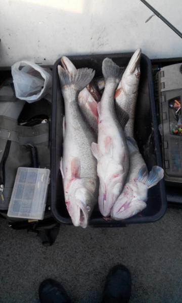 20151104161119.jpg