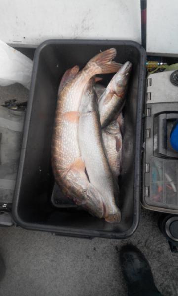 20151104101816.jpg