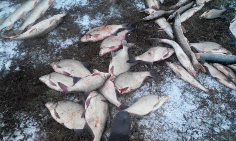20151101170802.jpg