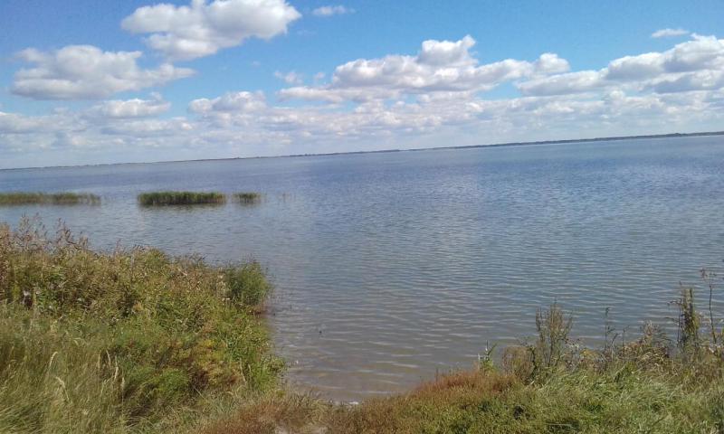 20160823_141448.jpg