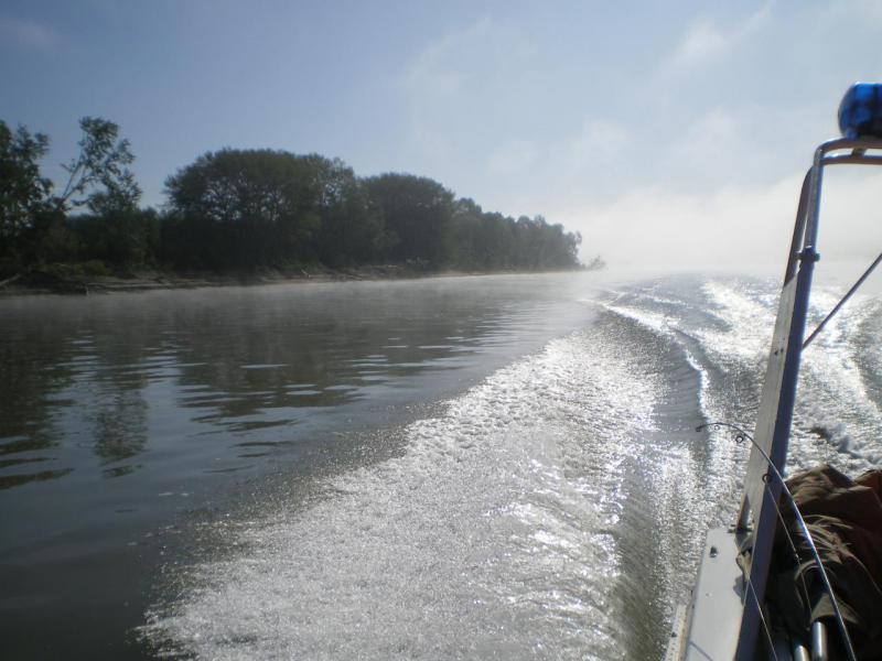 IMGP0281.JPG