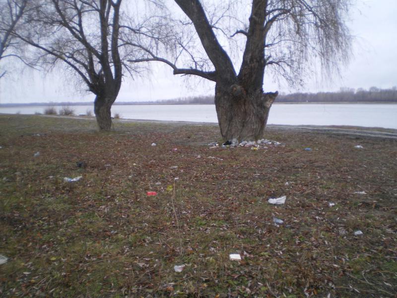 IMGP0007.JPG