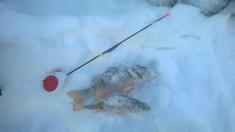 WP_20161219_002.jpg