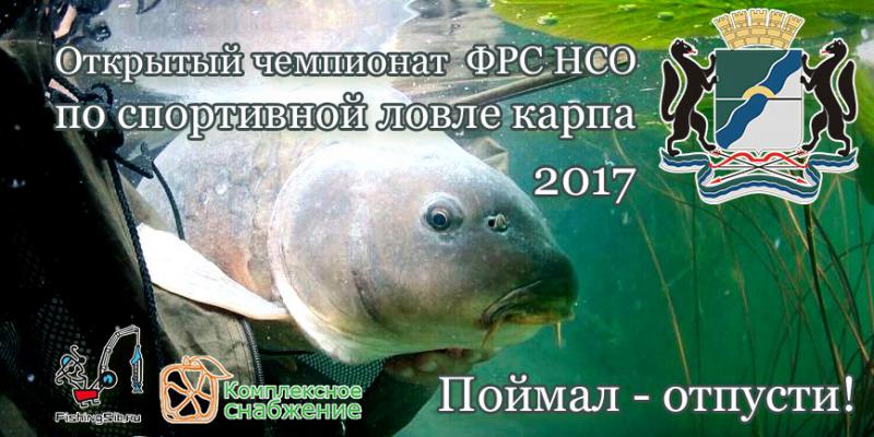 баннер чнсо 2017.jpg