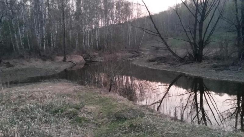 20160421_204928_LLS.jpg