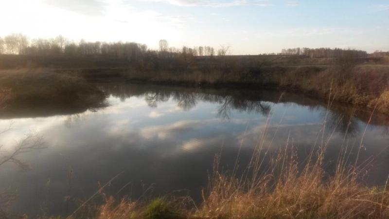 20160424_194537.jpg