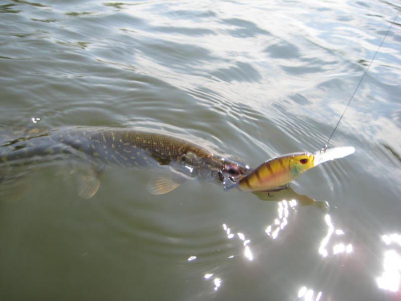 IMG_2429.JPG
