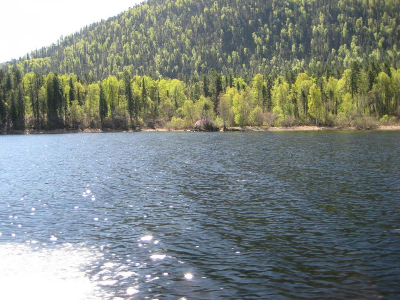 IMG_1676.JPG