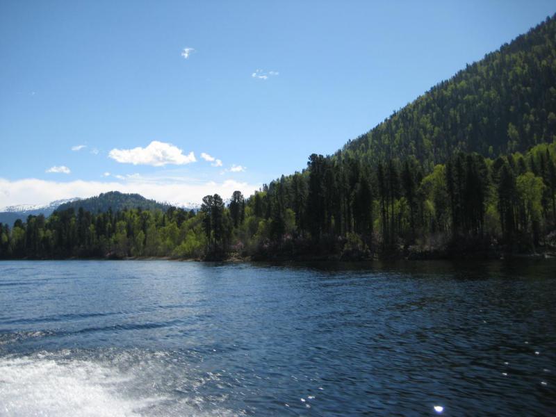 IMG_1678.JPG