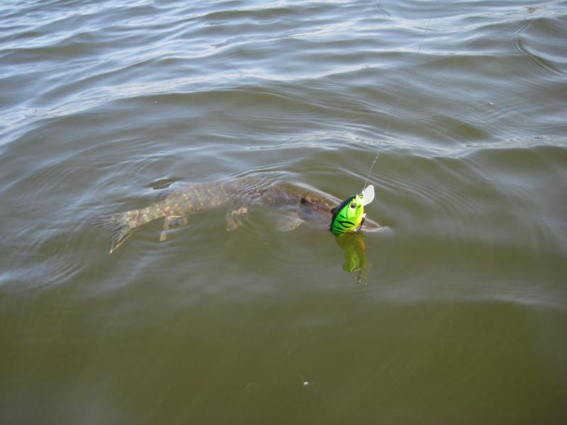 IMG_2432.JPG