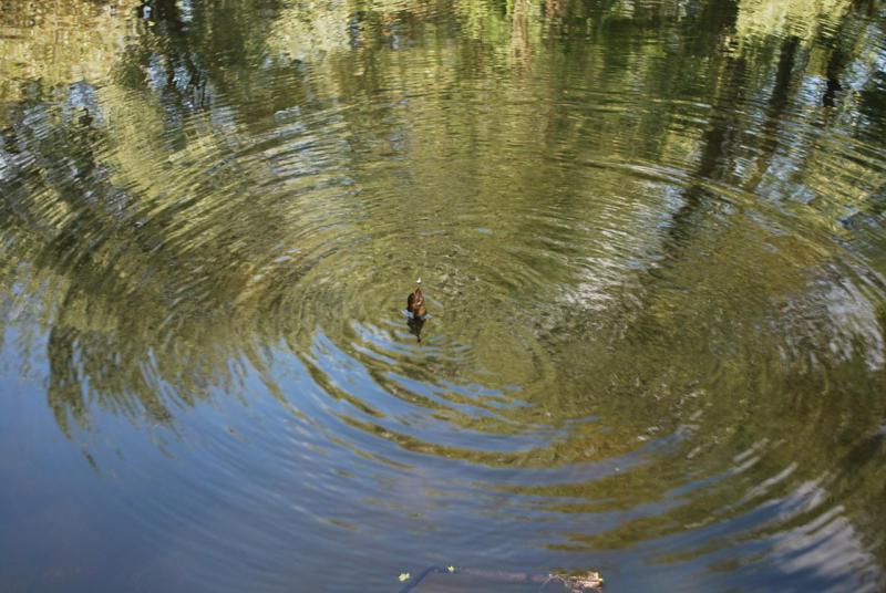 DSC_1164.JPG