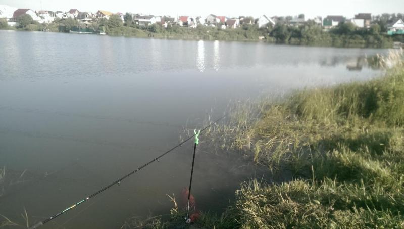 IMAG0127.jpg