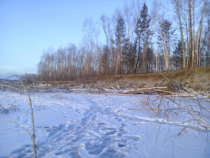 IMG_20171126_095301.jpg