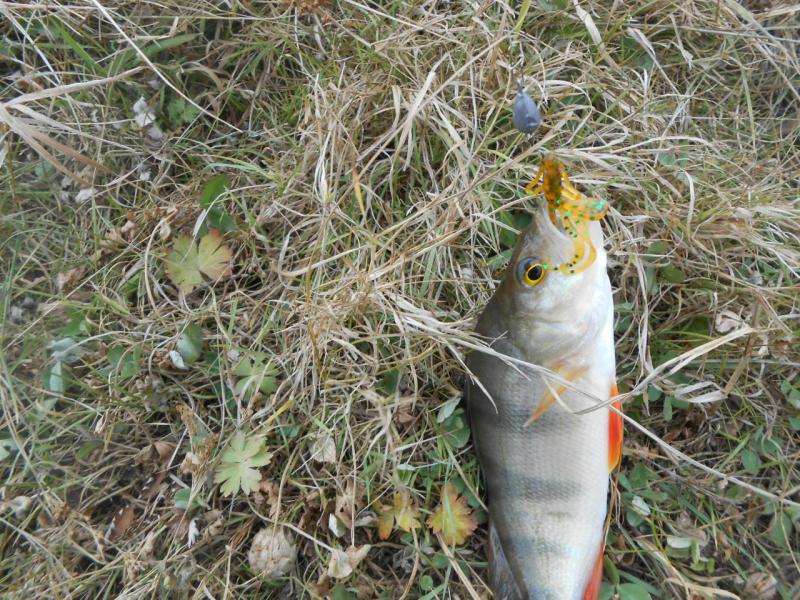 DSCN4357.JPG
