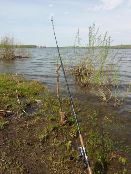20170513_114239.jpg