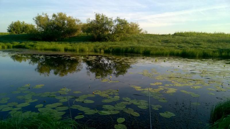 WP_20170709_001.jpg