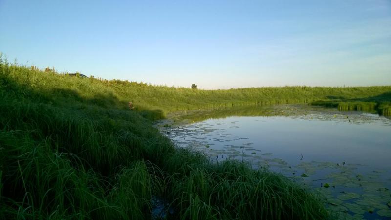 WP_20170709_003.jpg